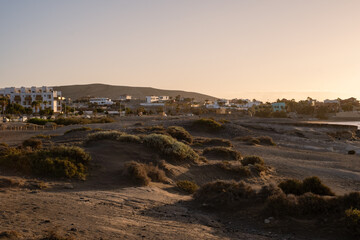 Sunrise on the beach on a summer day. Dunes, desert plants and rocks. Colorful houses and beach in the background. Calm clear sky, orange color. El medano, Tenerife, Canary Islands, Spain.