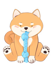 Cute and cheerful Shiba dog cartoon is the national dog of Japan.