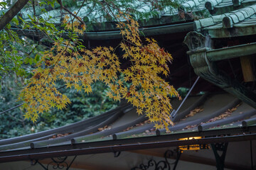 紅葉と神社の風景