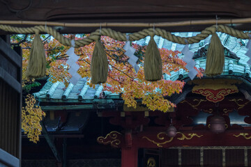 紅葉と神社の風景