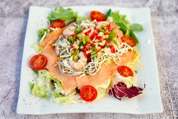 salmon salad, eels, lettuce, red pepper and green pepper with vinaigrette