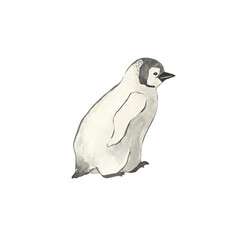 Watercolor cute forest animals.Penguin.and-painted woodland wildlife.