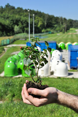 Nature against trash, flower (seedling) in hand in the foreground in a waste recycling plant, segregation bins, garbage containers, environmental issues, ecology 