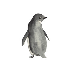 Watercolor cute forest animals.Penguin.and-painted woodland wildlife.