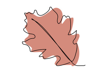 Continuous line drawing of oak leave hand drawn. Minimal design simplicity autumn theme.