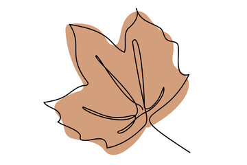 Continuous line drawing of maple leave hand drawn. Minimal design simplicity autumn theme.