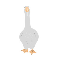 Cute big goose on white background. Flat vector design isolated on white