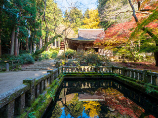 室生寺の池に映り込む美しい紅葉