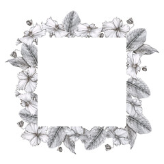 Square frame of African violets (saintpaulia). Hand drawn graphics. Design for postcard, invitation, greeting, print, logo, label. Valentine's Day, wedding, birthday, anniversary, mother's day, etc.