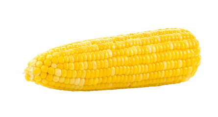 corn on transparent png