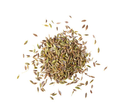 dill seeds  isolated on transparent png