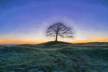 Digital oil painting of a lone tree on Grindon Moor, Staffordshire.