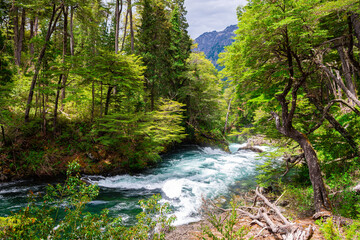 beautiful river in nahuel huapi national park, argentina