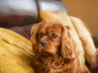 Digital oil painting of a single isolated ruby Cavalier King Charles Spaniel on a sofa.
