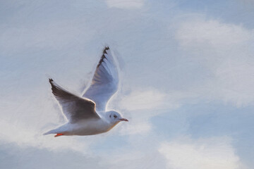 Digital oil painting of Black-Headed Gulls on a frozen pond during winter. Non breeding adult Black Headed Gull