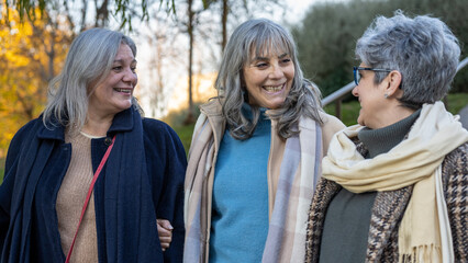 Three mature seniorn women friends walking outside and chatting, happy faces and smiling elderly...