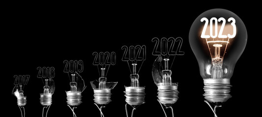 Light Bulbs with New Year 2023