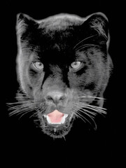 Abstract print design on plain base