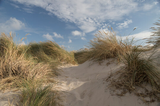 Sandd&uuml;ne
