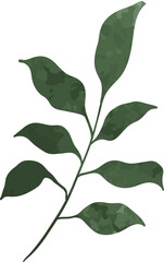 Watercolor winter leaf