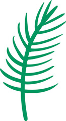 Pine leaf branch