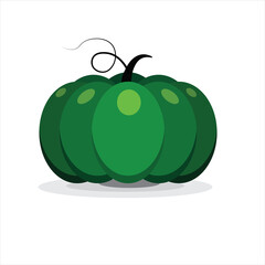 Kabocha Pumpkin, Japanese green pumpkin with white background. Isolated, vector. 