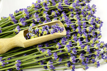 Wooden cooking scoops for spices and sprigs of fresh lavender lie on a white table, seasonal harvesting of plants. 
