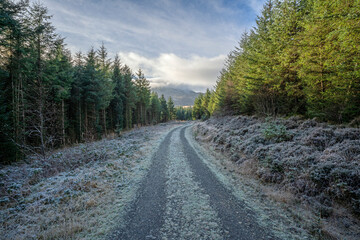 Frosty path and beginning of the trail to the Rhinog mountains in Snowdonia, North Wales.