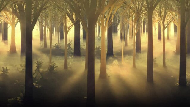 Beautiful fairy enchanted forest with sunlight illuminated trees. Parallax animation