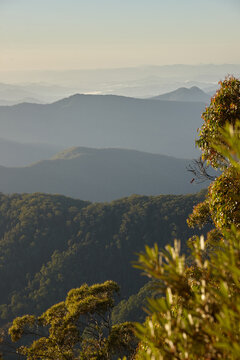 Vertical shot of mountains and trees on a misty day