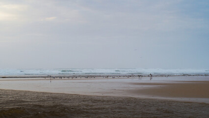 Plage de Moliets-et-Mâa, à proximité du Courant de Huchet.  L'ambiance est hivernale
