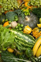 Many vegetables and fruits