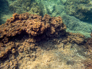 Fondale marino Acitrezza