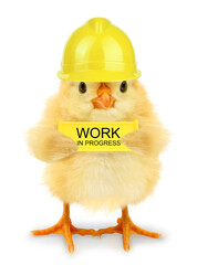 Cute chick worker with yellow Work in progress sign billboard panel outdoor under construction board isolated on white background