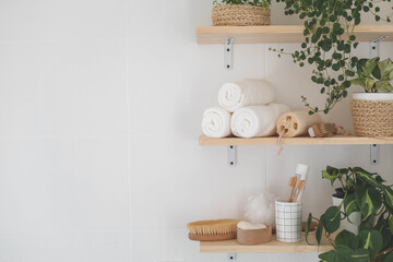 Bathroom wooden shelves eco friendly body care tools with potted plant neatly arrangement storage