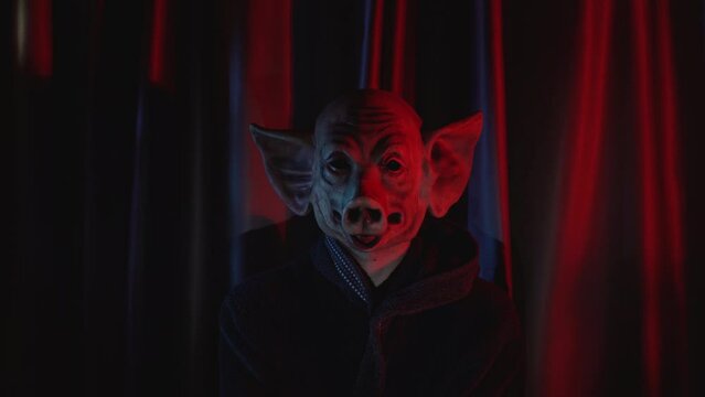 Terrifying man with creepy pig mask in room against red curtain.