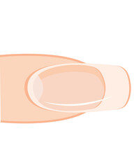 Nail vector