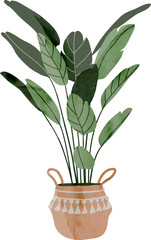 House plant watercolor illustration