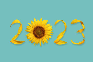 2023 from yellow sunflower flowers and leaves isolated on blue background. Website header banner. New Year. Holiday calendar cover or promotional post. 2023 creative background, postcard design