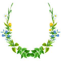 Frame with meadow flowers. Herbs and cereal grass. Beautiful decorative spring plants.