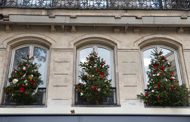 Fototapeta na wymiar Trois sapins de Noël sur la façade