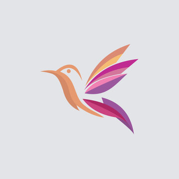 colorful bird logo design royalty free vector image