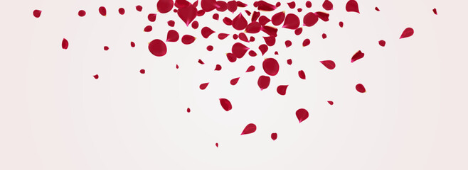 Pink Lotus Blur Vector Panoramic White