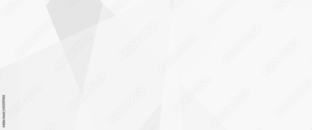 Poster White abstract modern background design. use for poster, template on web, backdrop, abstract stripe background geometry shine and layer element vector for presentation design.