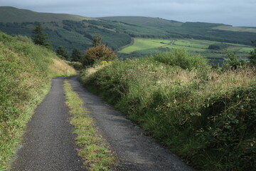 Fototapeta na wymiar Countryside around CastleIsland and Mount Eagle - County Kerry - Ireland