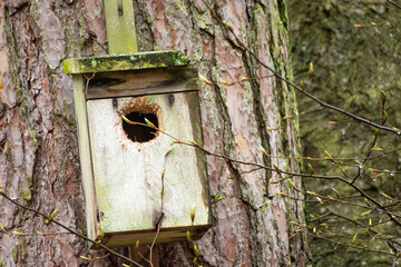 A wooden nesting box for birds hanging on a tree