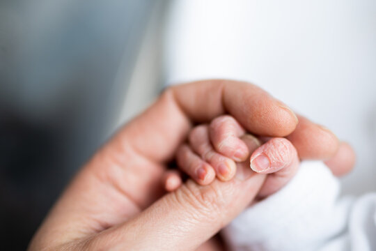 hand of newborn baby who has just been born holding the finger of his father's hand.