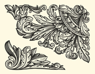 Decorative floral design elements. Ornate swirling floral motif. Pattern vector illustration in vintage engraving style