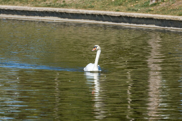 Parque Central in Tres Cantos, Madrid