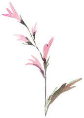 Watercolor gentle wildflowers transparent PNG